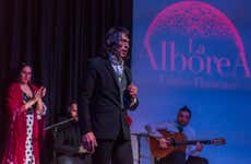 Granada Flamenco Show