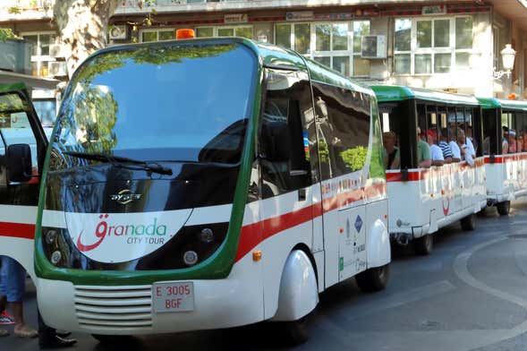 Granada Tourist Train